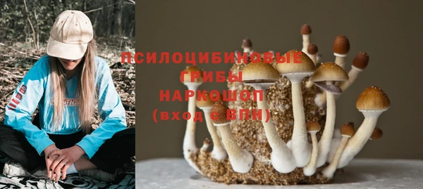 твердый Балахна